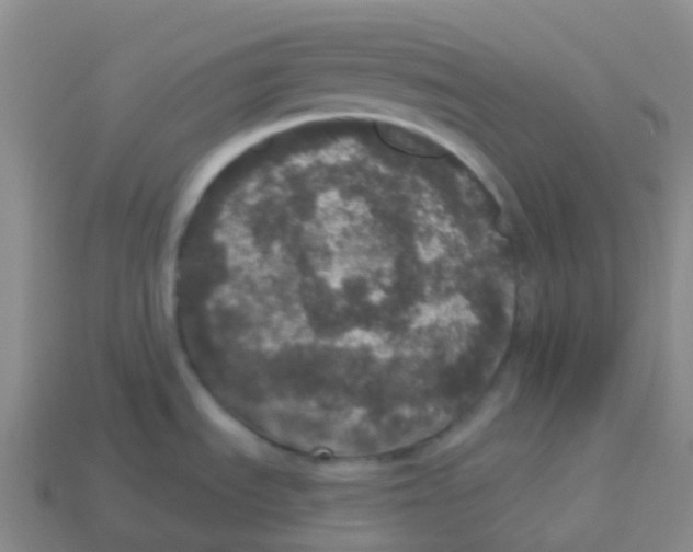 X0000113551535200910161423