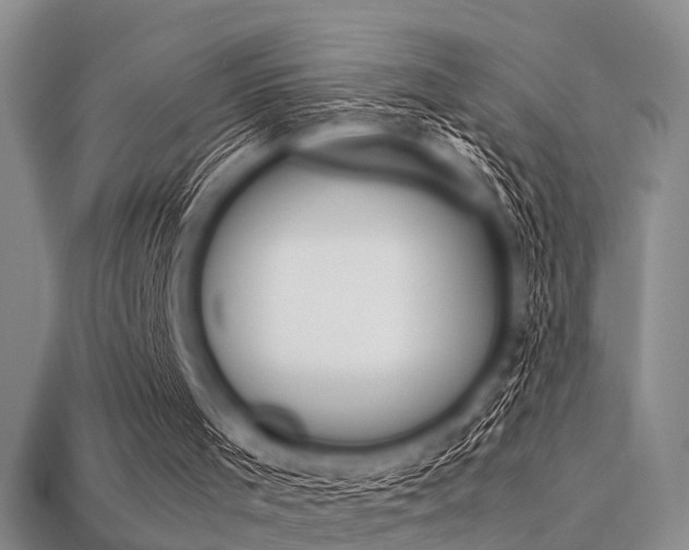 X0000113560001200909181030