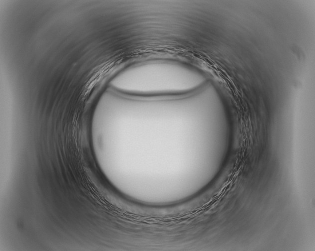 X0000113560002200909181030