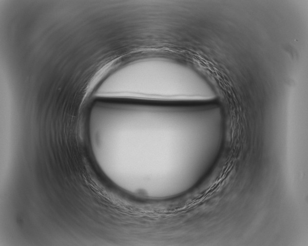 X0000113560004200909181030