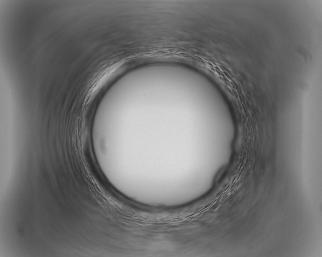 X0000113560005200909181030