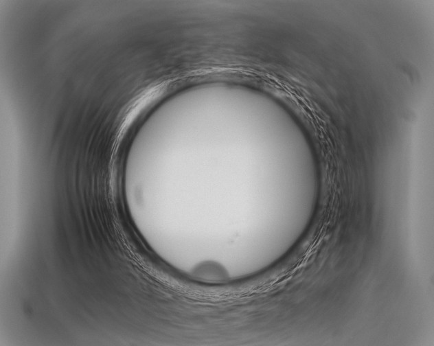 X0000113560006200909181030