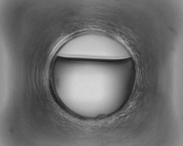 X0000113560007200909181030