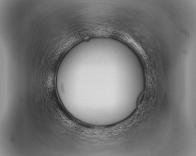 X0000113560009200909181030