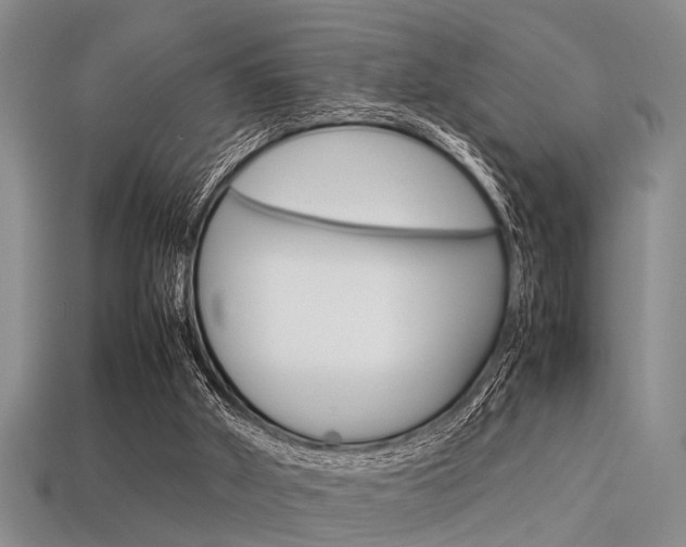 X0000113560010200909181030