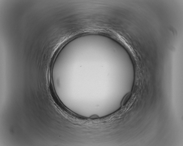 X0000113560011200909181030