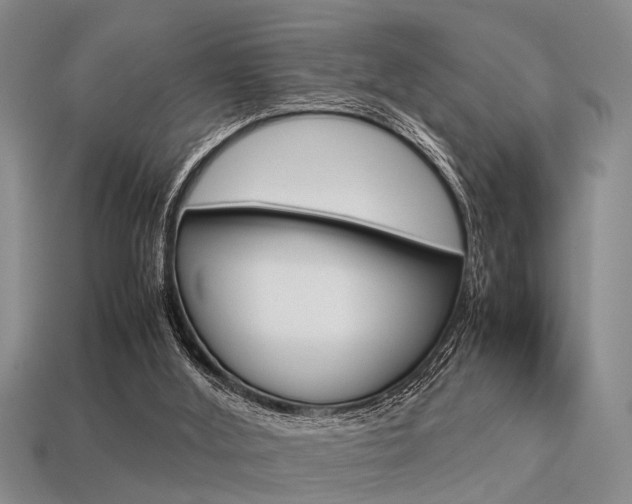 X0000113560012200909181030