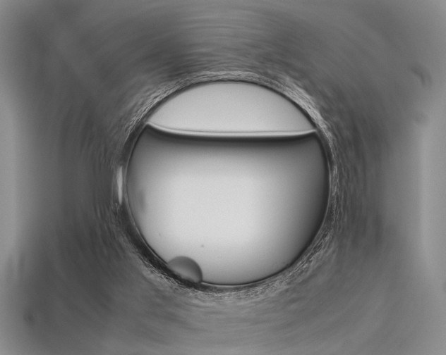 X0000113560013200909181030