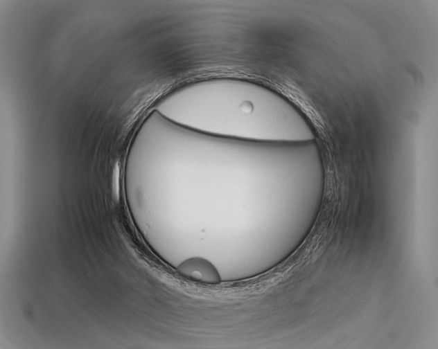 X0000113560014200909181030