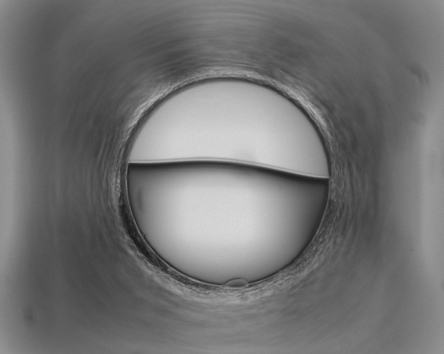 X0000113560015200909181030
