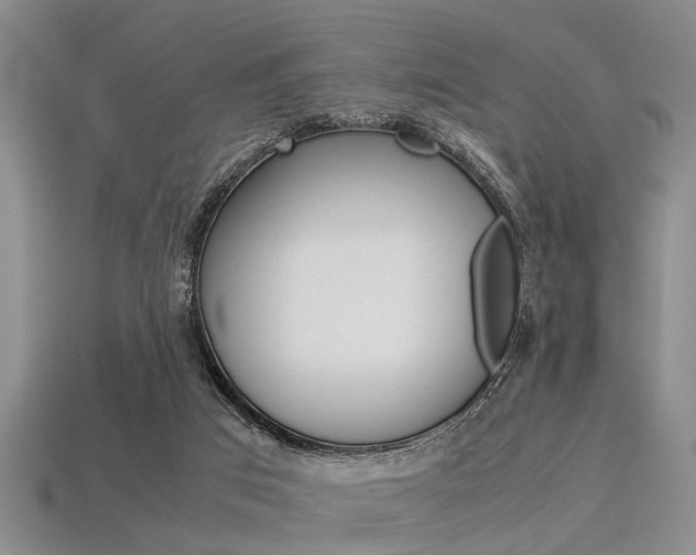 X0000113560017200909181030