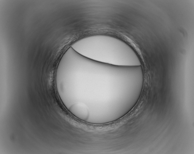 X0000113560018200909181030