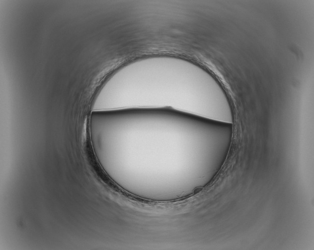 X0000113560019200909181030