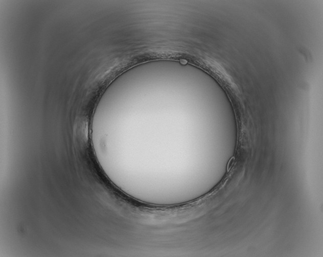 X0000113560021200909181030