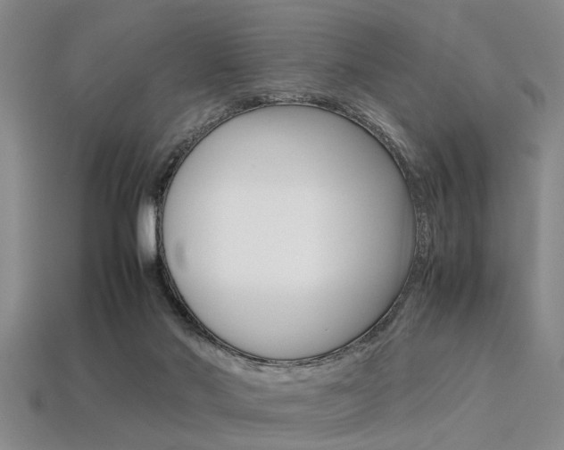 X0000113560022200909181030