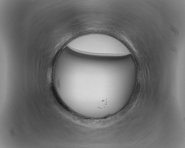 X0000113560023200909181030