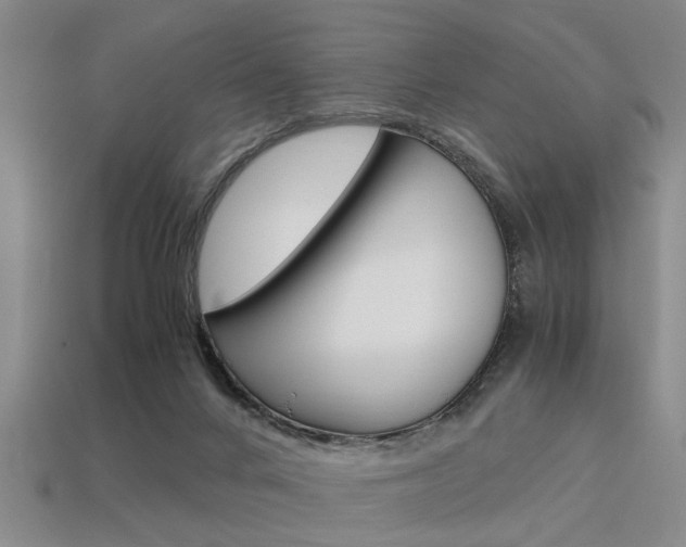 X0000113560024200909181030