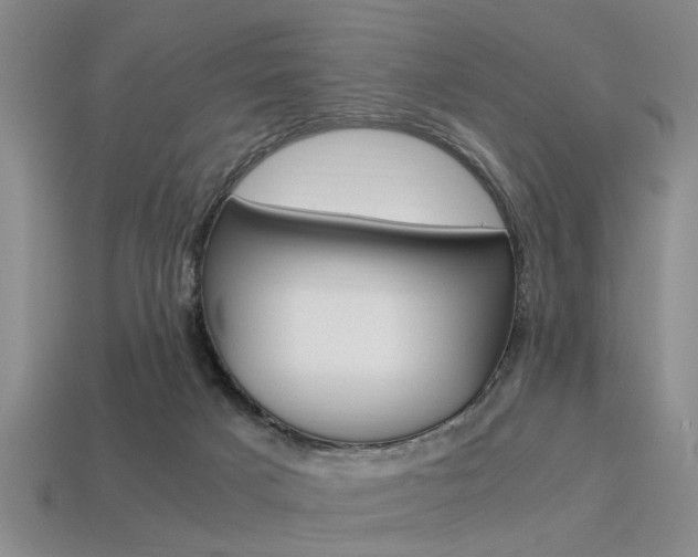 X0000113560025200909181030