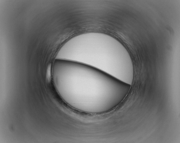 X0000113560028200909181030