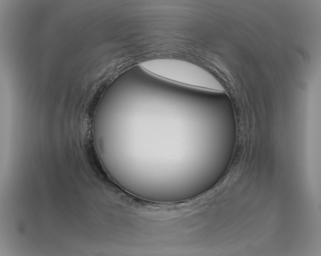 X0000113560029200909181030