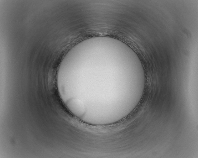 X0000113560030200909181030