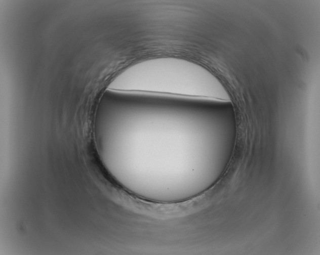 X0000113560031200909181030