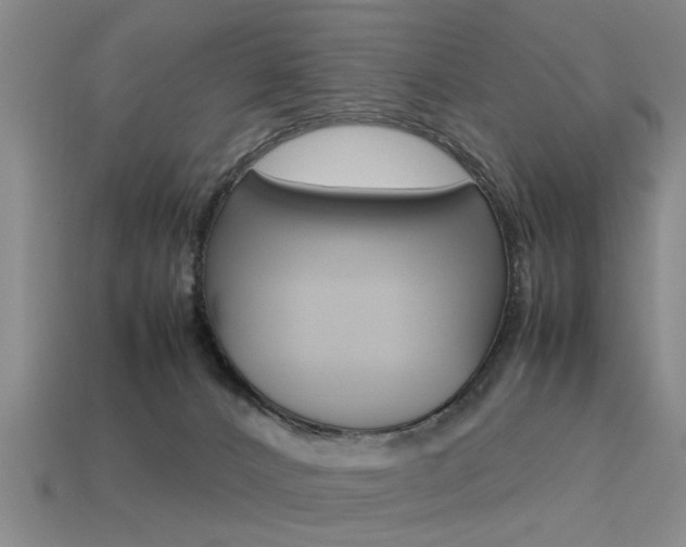 X0000113560032200909181030