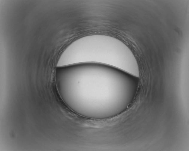 X0000113560033200909181030