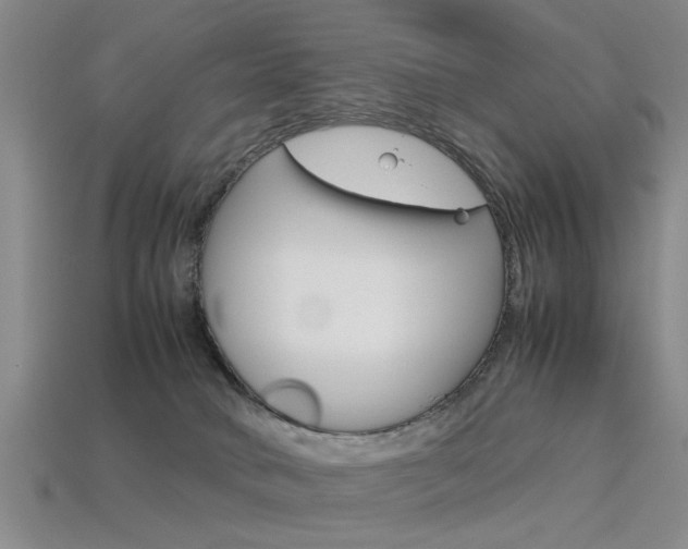 X0000113560034200909181030