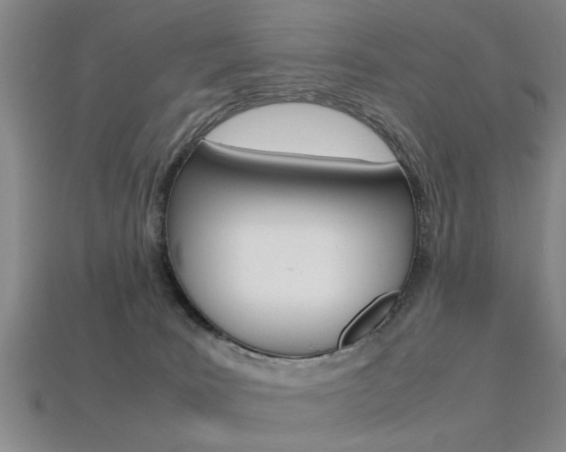 X0000113560035200909181030