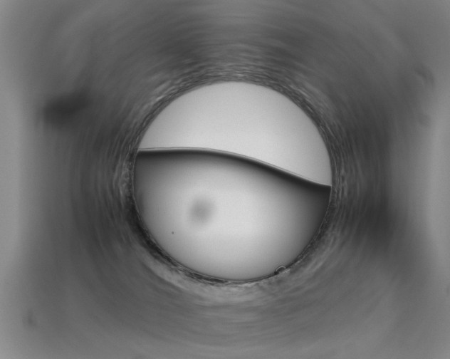 X0000113560036200909181030