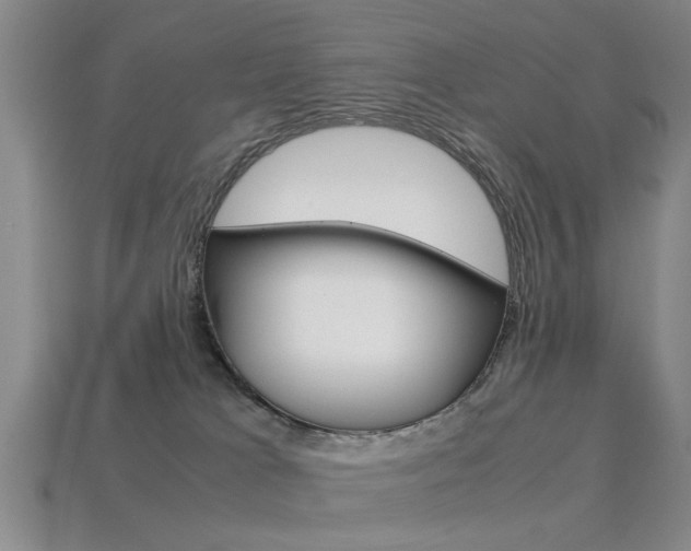 X0000113560037200909181030