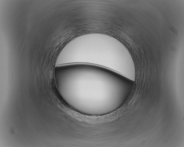 X0000113560039200909181030