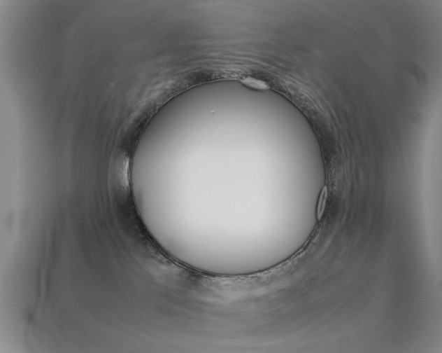 X0000113560041200909181030