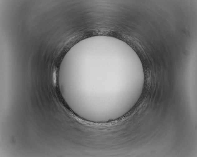 X0000113560042200909181030