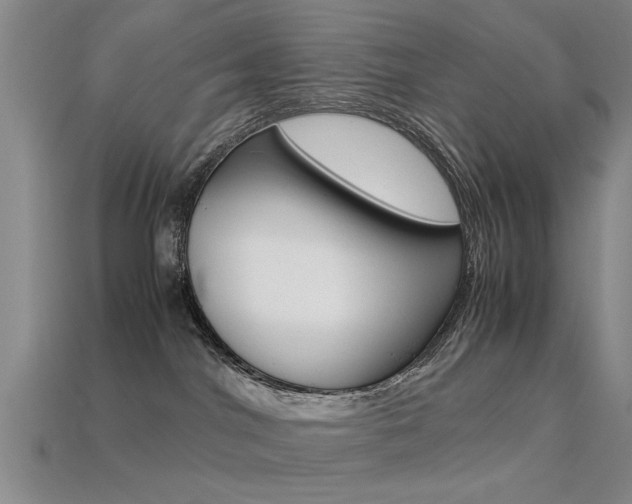 X0000113560044200909181030