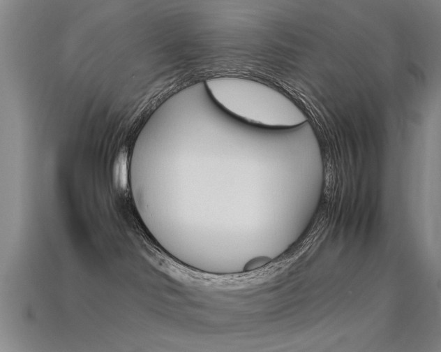X0000113560046200909181030