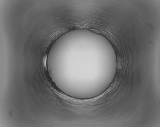 X0000113560047200909181030