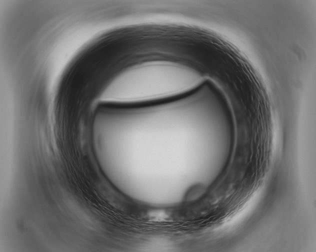 X0000113560050200909181029