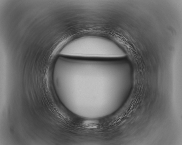 X0000113560051200909181029
