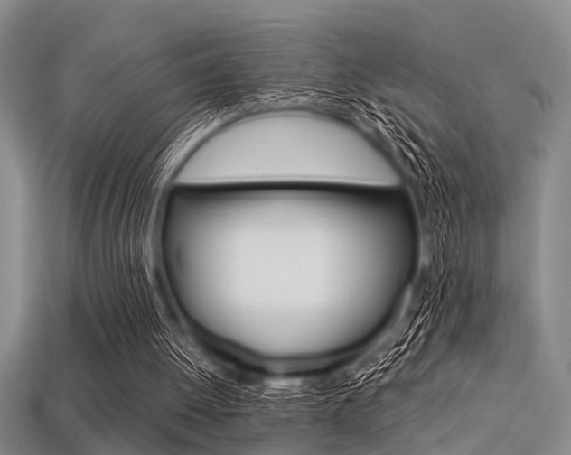 X0000113560052200909181029