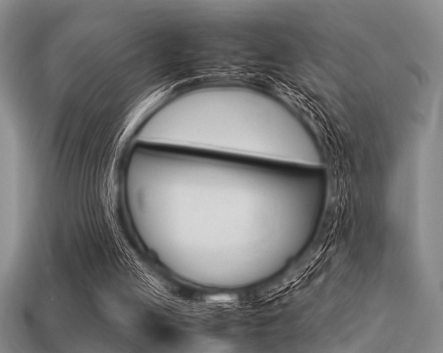 X0000113560053200909181029