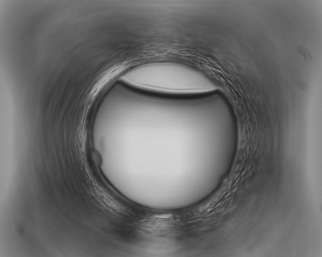X0000113560054200909181029