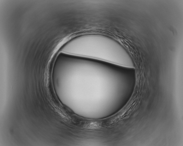 X0000113560056200909181029
