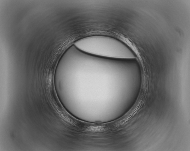 X0000113560057200909181029