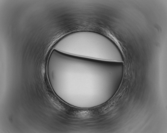 X0000113560059200909181029