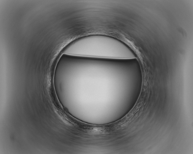 X0000113560060200909181029