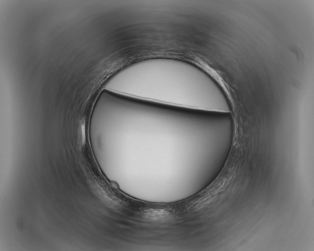 X0000113560061200909181029