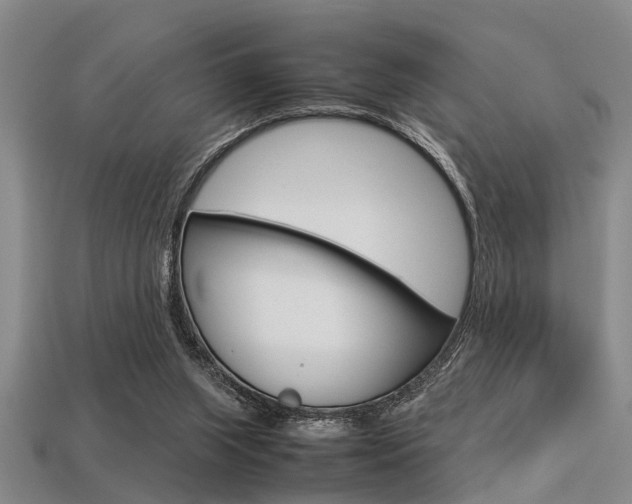 X0000113560063200909181029