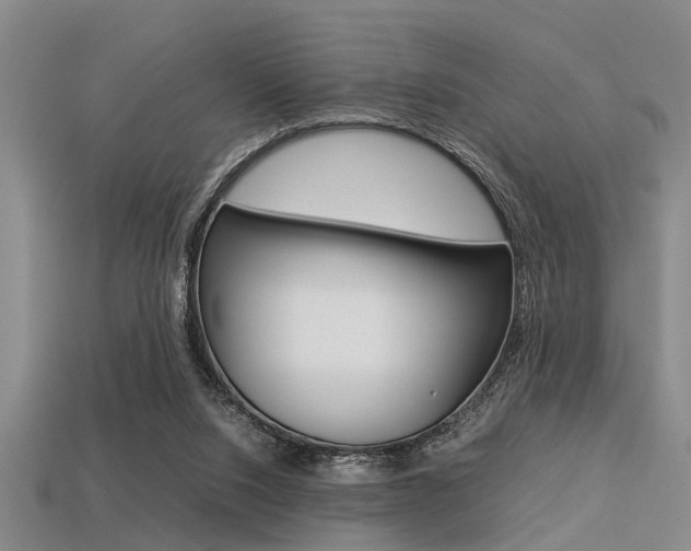 X0000113560064200909181029
